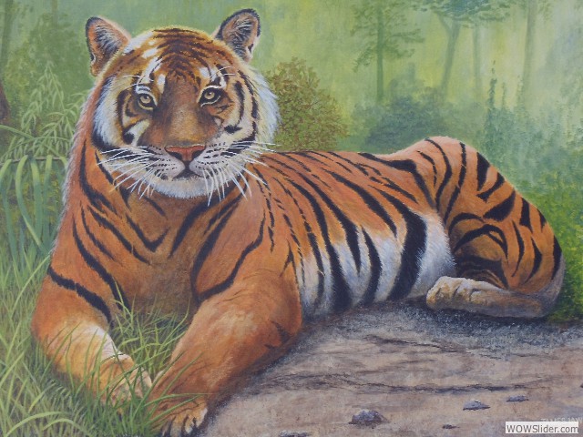 24_Tiger-2